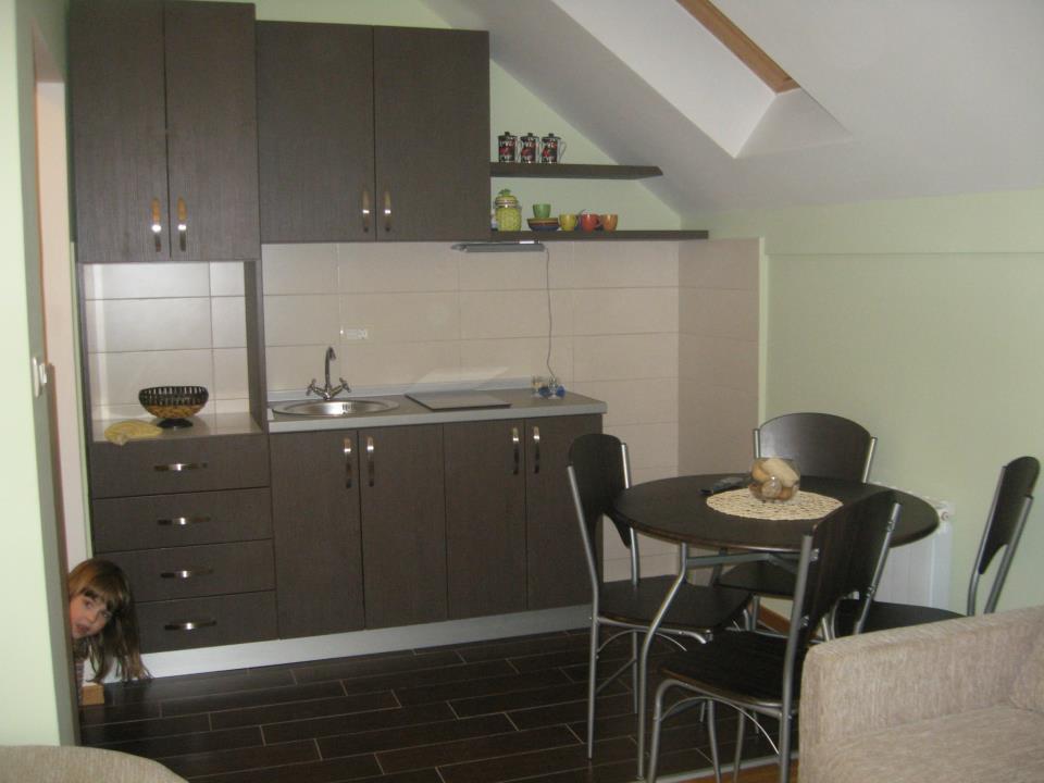 Apartment Gledovic Zlatibor Exterior photo
