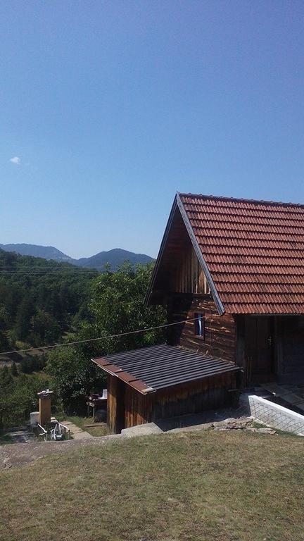 Apartment Gledovic Zlatibor Exterior photo